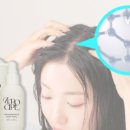 그래핀체험