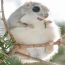 디자인다람 이미지