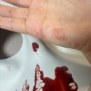 허박 | 251112 슬립노모어 후기 (스포O)