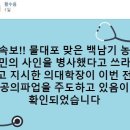 가짜뉴스 생산과정 분석(조국 딸 가짜뉴스 사례) 이미지