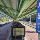 정선공영버스터미널 내 이미지