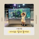 작은동물원수족관 | 가평 아이와 가볼만한곳|실내 수족관 카페 아쿠아가든&amp;신비동물원 가평점