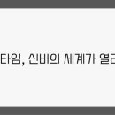 드림타임 이미지