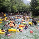 142 한국일보