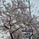 CU(진해이동대로점) | CU 편의점 알바 현실 후기 | 진해군항제 기간 출근하다 멘붕 온 날 (카드 사고+버스 지옥)