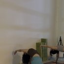 요가2.(오후반) 이미지