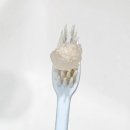 잇몸관리 고민 해결! 빛과소금 천연양치소금 사용 후기