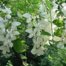 풀빛동산 이미지