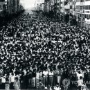 보림태권도 이미지