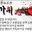 엠티브이 9로 이미지