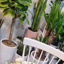 내성지구대 이미지