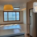 하모리-46 이미지