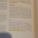 더오펠리 이미지