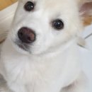 저거리농장 이미지