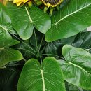 옥류헌릴렉스 이미지