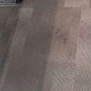 그린세탁 이미지