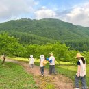 별마로천문대 이미지