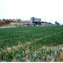 바다향 모텔 이미지