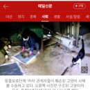 남구-088 이미지