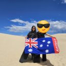 해피휴게소 | [호주🇦🇺] 시드니 2일차, 포트스테판 투어 후기/ 모래썰매, 오크베일 동물원/해피셰프누들