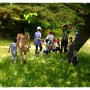 다니엘어린이집 이미지