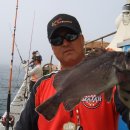 갈매기1호 이미지