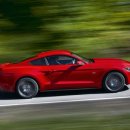 지성자동차 이미지