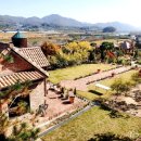 이종국농장 이미지