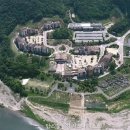 동강시스타 이미지