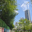 마케팅마법사 | AI 마케팅 교육 후기 | 3050 디지털 왕초보의 1개월 솔직 변화기