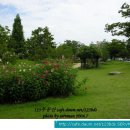 신안평거녹지 이미지