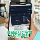 지수 | 블로그지수 확인 사이트 추천, 블로그지수닷컴 솔직 후기