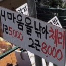 똥땅거리는 노래는 무조건 허용이야! 이미지