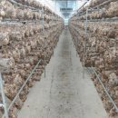 동기농장 이미지