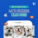 뉴케어 동물병원 이미지