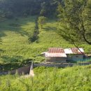 천기농장 이미지