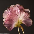 수지장식 이미지