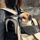 (주)모드니 이미지
