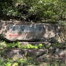 [양산/강아지독채펜션] 댕댕이와 보호자가 모두 만족할 곳 , 내포리 머뭄 스테이