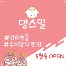 댕스밀 이미지