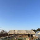 신내농장 이미지