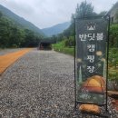 반딧불자연캠핑장 | 양평 반딧불 캠핑장 가족캠핑 후기｜계곡 물놀이부터 다슬기 체험까지