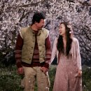 너는내운명 이미지