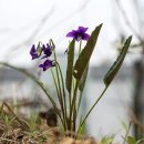 싸게싸게 이미지