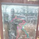 입화산참살이숲 이미지