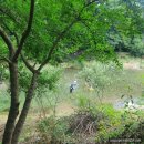 마석우천 물놀이장[마석-1] | 캠핑장 매매】 경기도 남양주시 수동면 수동계곡가 물놀이장 매매, 사용토지 293평 방갈로 4동, 평상 10개.