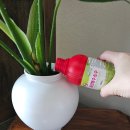 수경약국 이미지