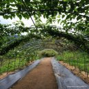 보영목장 이미지