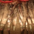 유람선민박 이미지