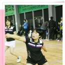 미르체육관 이미지